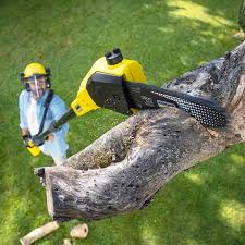 Lawn Renovation and Restoration in Breckenridge, TX